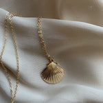 Load image into Gallery viewer, Clam Shell Necklace
